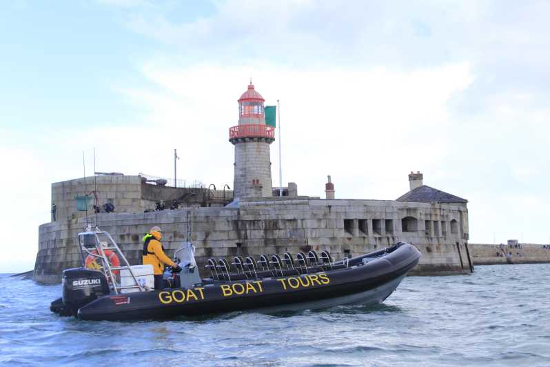 Dublin: History and Wildlife Boat Tour with Live Commentary - Key things to know before you go