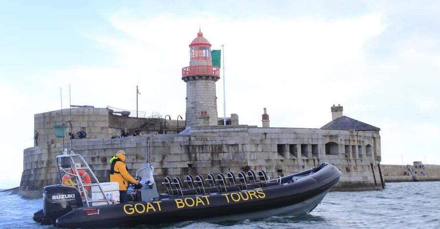Dublin: History and Wildlife Boat Tour with Live Commentary - The Dublin Bay UNESCO Biosphere: views you can track, not just admire