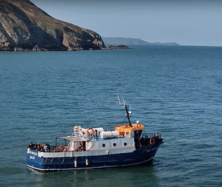 Dublin: Howth Cliffs and Lighthouse Boat Tour - The 45-minute cruise: how the time gets you the best coastline views