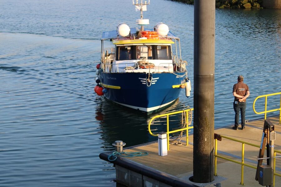 Dublin: Howth Cliffs and Lighthouse Boat Tour - Howth cliffs and Balscadden Bay: the views you came for