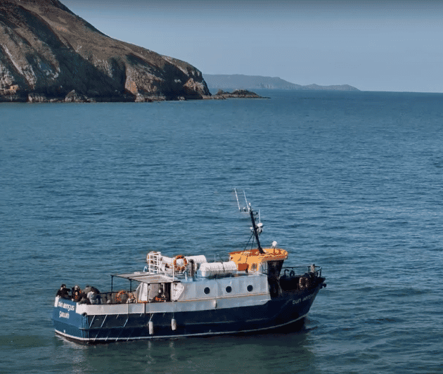 Dublin: Howth Cliffs and Lighthouse Boat Tour - Dublin Bay Biosphere: wildlife spotting without the guessing game