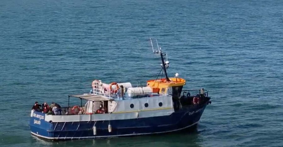 Dublin: Howth Cliffs and Lighthouse Boat Tour - Stop 1 and Stop 3: easy logistics that keep the focus on the sea
