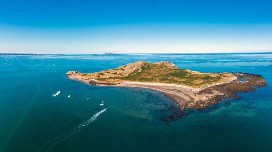 Dublin: Howth Cliffs and Lighthouse Cruise - The Dublin Bay Biosphere Angle: Birds, Seals, and Real Nature Time
