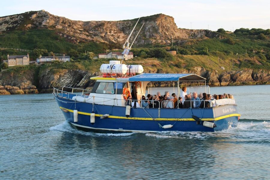 Dublin: Howth Coast and Ireland's Eye Boat Tour - Timing, delays, and why “45 minutes” can change on the water