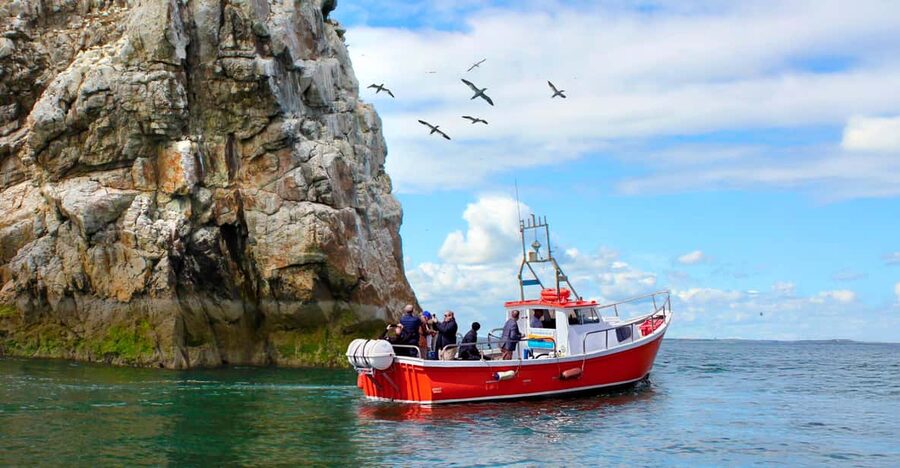 Dublin: Howth Coastal Boat Tour - Key highlights worth caring about