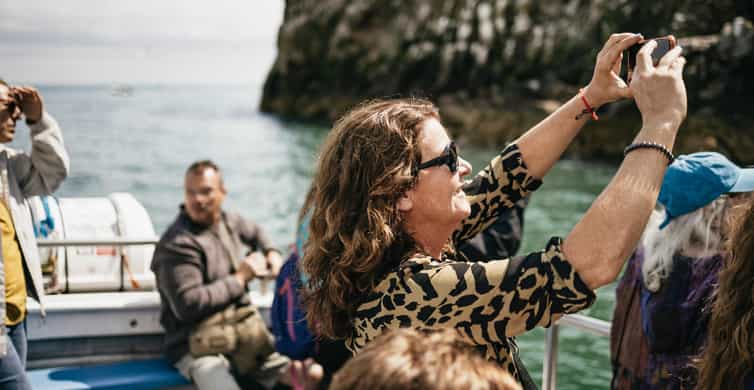 Dublin: Howth Coastal Boat Tour - From 9 W Pier to open water: the start that sets expectations