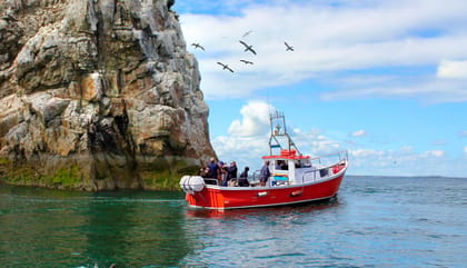 Dublin: Howth Coastal Boat Tour - Ireland’s Eye’s shoreline and sea caves: what you’re scanning for