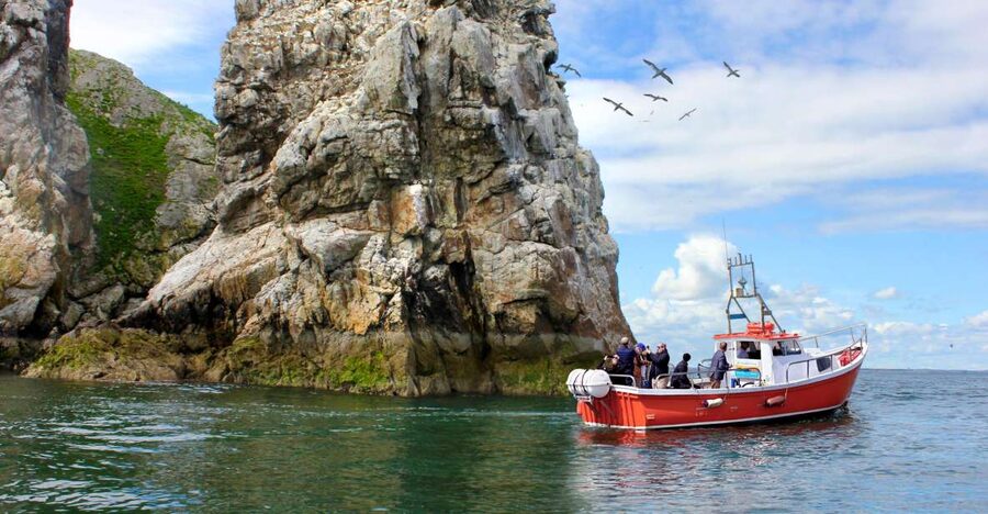 Dublin: Howth Coastal Boat Tour - How the skipper tells the story: birds first, history when it fits