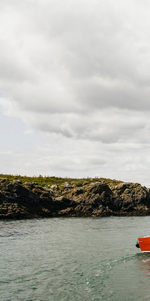 Dublin: Howth Coastal Boat Tour - The 50-minute format: why short is sometimes better