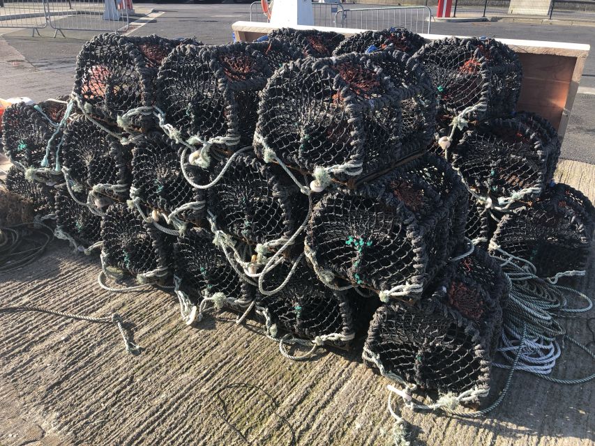 Dublin: Howth Coastal Craft Beer and Seafood Tour - Pacing Over 3 Hours: What the Timeline Feels Like