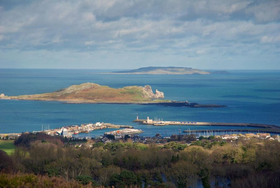 Dublin: Howth Coastal Hiking Tour - Key reasons this Howth hike works