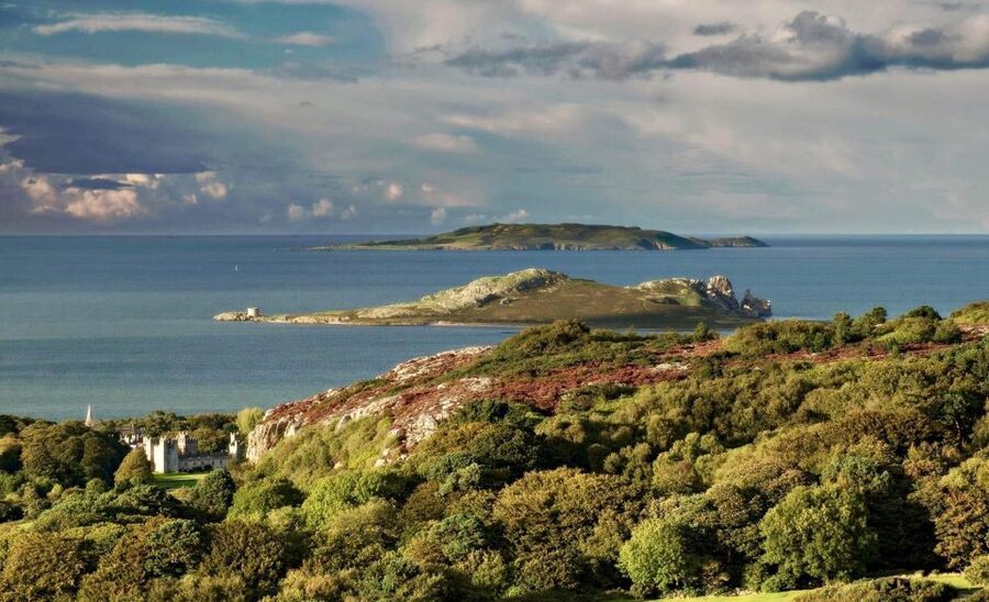 Dublin: Howth Coastal Hiking Tour - Terrain, Pace, and Who This Tour Fits Best