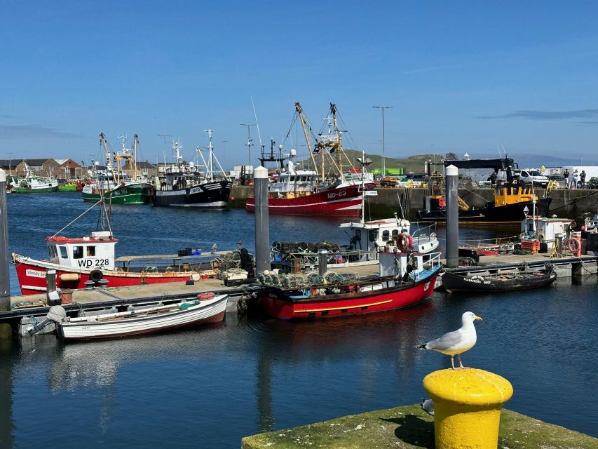 Dublin: Howth Coastal Hiking Tour - Ben of Howth: The Panorama H. G. Wells Put on the Map