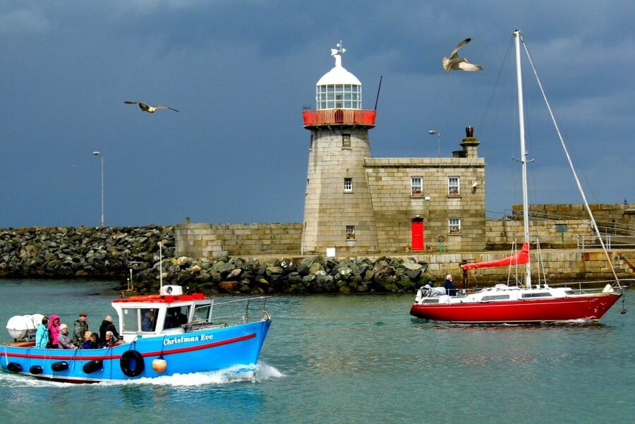Dublin: Howth Coastal Hiking Tour - Baily Lighthouse and the Cliff Edges: Wildlife Where You Can Actually See It