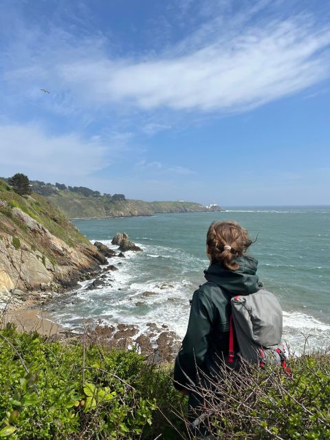 Dublin: Howth Safari Hiking Tour - Quick hits: What makes this Howth Safari Hiking Tour special