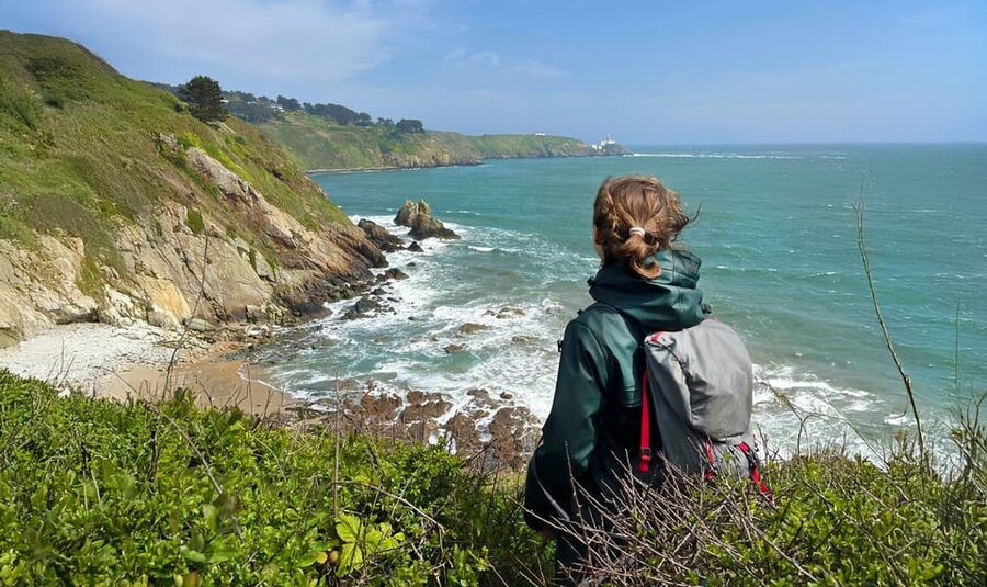 Dublin: Howth Safari Hiking Tour - South-Facing Howth Cliffs: The Real Point of This 5-Hour Hike