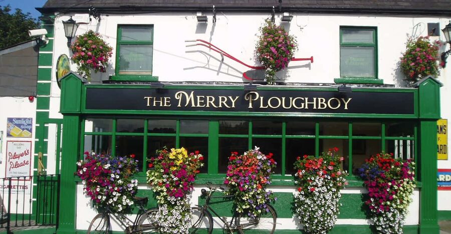 Dublin: Irish Night Show at the Merry Ploughboy Pub - The Show at 8:00: Irish Music, Singing, and Stepdancing Up Close