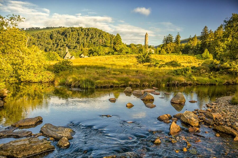 Dublin: Kilkenny, Wicklow & Glendalough Tour & Sheepdog Show - Guides and driving: why the tone feels so relaxed