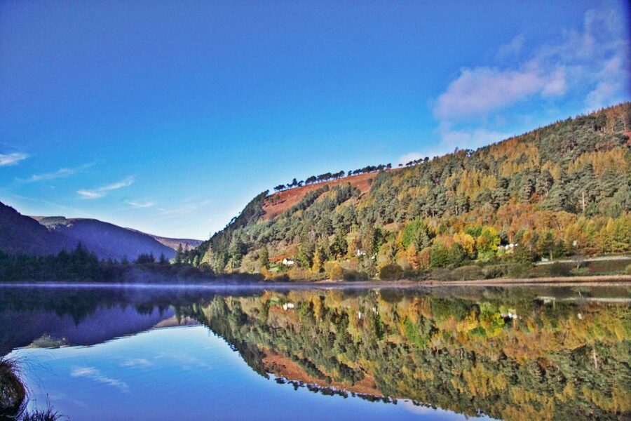Dublin: Kilkenny, Wicklow & Glendalough Tour & Sheepdog Show - Getting the timing right: buses, walking, and small comfort fixes