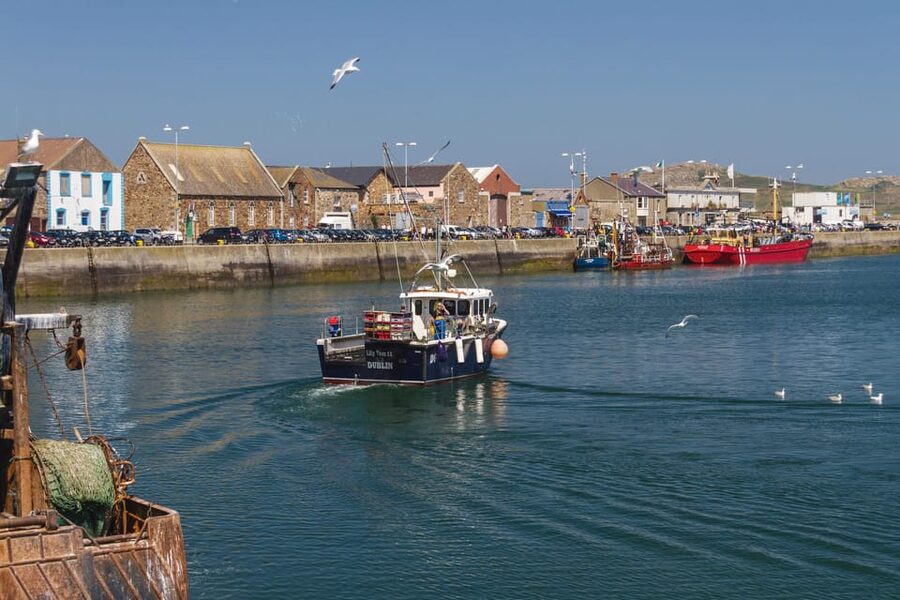 DUBLIN: Malahide castle and Howth MULTILINGUAL full day tour - Howth fishermen’s harbor: seals, sea air, and lunch freedom
