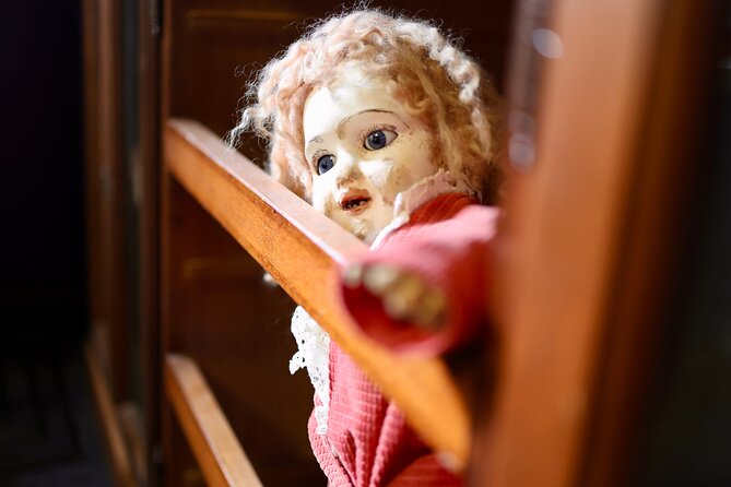 Dublin Museum of Curiosities - Key things to know before you go