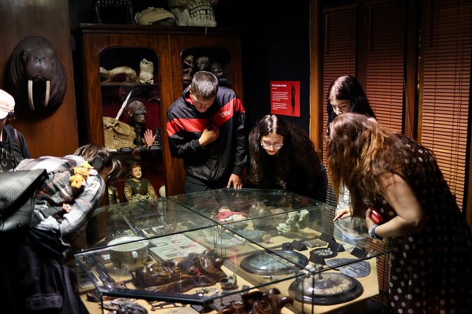 Dublin Museum of Curiosities - Entering Dublin’s Museum of Curiosities: small space, big mood