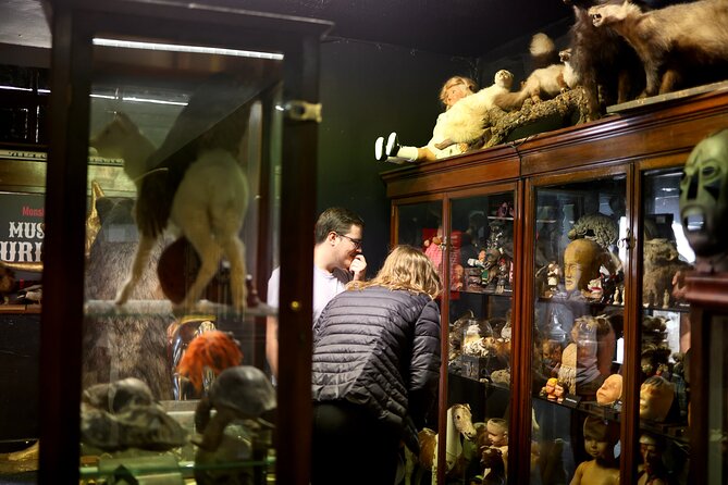 Dublin Museum of Curiosities - How to get the most from a one-hour self-guided visit