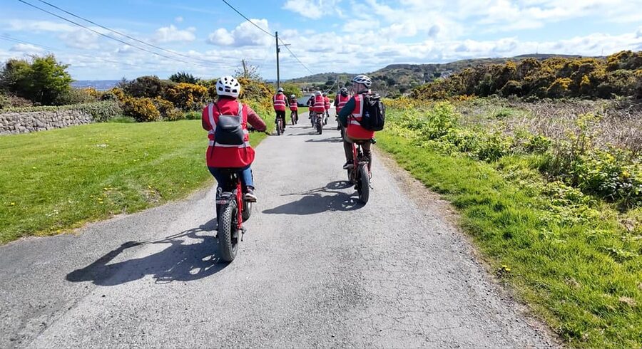Dublin: Panoramic e-Bike Tour - Price and value: $67 for e-bikes, a small group, and real route access