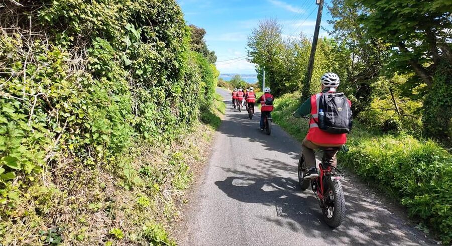 Dublin: Panoramic e-Bike Tour - How you ride matters: e-bikes, uneven terrain, and your comfort level