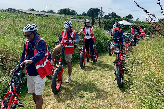 Dublin Panoramic e-Bike Tour with Howth Adventures - Howth Summit and cliff paths: the legend-and-nature blend