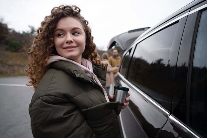 Dublin: Private Chauffeur Tour - Who Should Book This, and Who Should Skip It