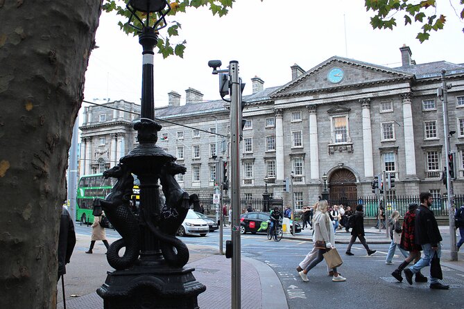 Dublin Private Walking Tour | 3 hour Highlights & Hidden Gems - Dame Lane, Parliament House, and Dublin’s music walls: politics meets culture
