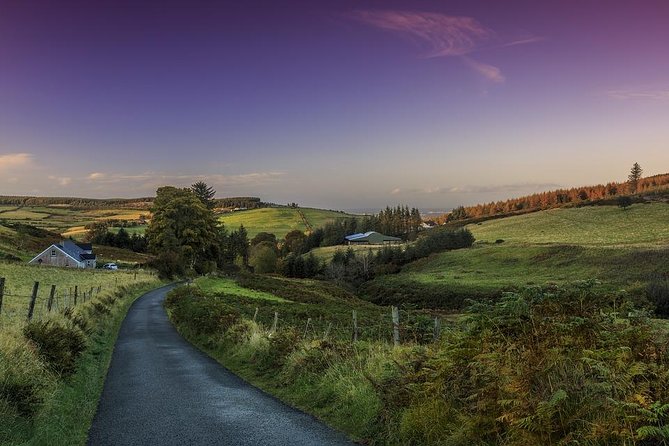 Dublin Private Walking Tour with a Local - Price and value for $66.09 per person (2 to 6 hours)