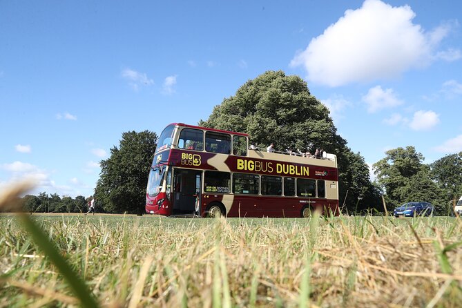 Dublin Shore Excursion, Live Guided Open-top, Hop-on Hop-off Sightseeing Tour - Timing tips if buses feel slow