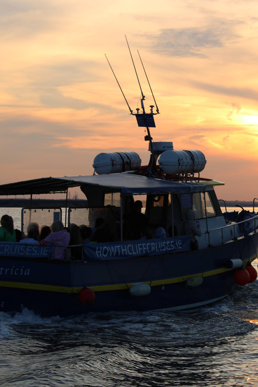 Dublin: Sunset Cruise in Howth - Who this Howth sunset cruise is best for