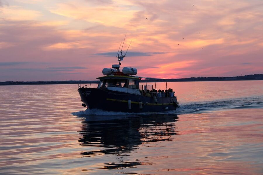 Dublin: Sunset Cruise in Howth - Meeting at the West Pier: what to expect before you sail