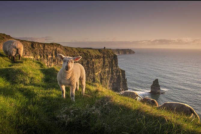 Dublin to Cliffs of Moher, Ennis Town & Bunratty Castle Day Tour - Weather, Crowds, and Timing: How to Set Your Expectations