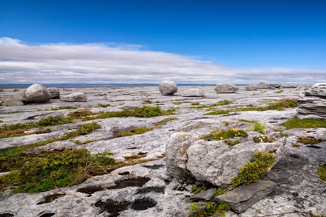 Dublin to Cliffs of Moher, including Wild Atlantic Way and Galway - Key things that make this tour worth your attention