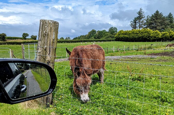 Dublin to Cliffs of Moher Private Luxury Day Tour - Cliffs of Moher: Two Hours at 214 Meters Above the Atlantic