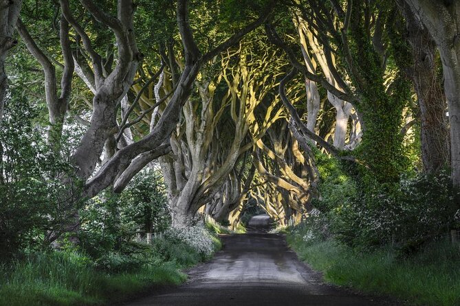 Dublin to Dunluce Castle, Giant's Causeway, Dark Hedges & Belfast - First Thing to Know: a 6:45 a.m. start with a full day north