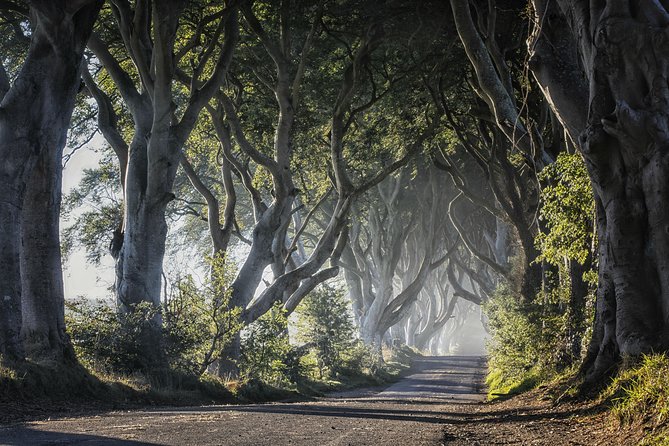 Dublin to Dunluce Castle, Giant's Causeway, Dark Hedges & Belfast - Coach comfort and pacing: what the 12.5-hour day really means