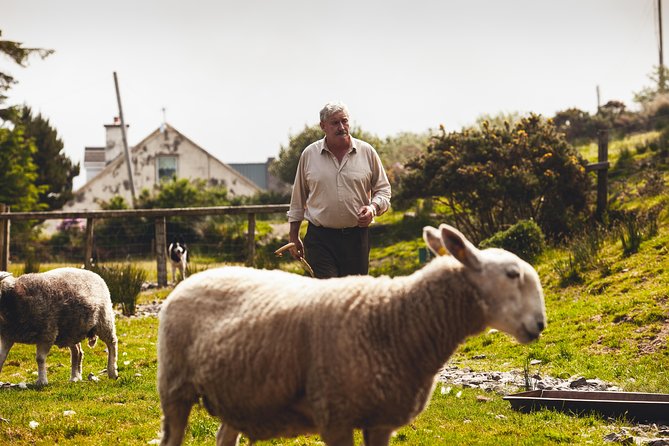 Dublin to South West 5 Day Small-Group Tour with Accommodation - Key points before you go