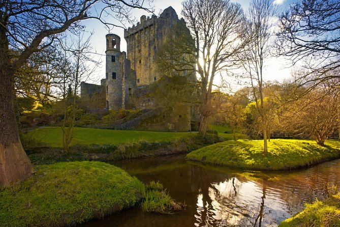 Dublin to South West 5 Day Small-Group Tour with Accommodation - Getting around on a Mercedes mini-coach (and why it helps)