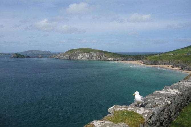 Dublin to South West 5 Day Small-Group Tour with Accommodation - Day 2: The Burren, Kilfenora crosses, and reserved Cliffs of Moher time