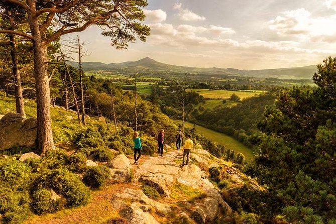 Dublin to Wicklow, Glendalough Small Group Tour with Guided Walk - Meet at the Molly Malone statue: easy start, clear end