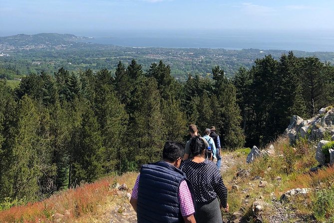 Dublin to Wicklow, Glendalough Small Group Tour with Guided Walk - Sally Gap and Guinness Lake (Lough Tay): two stops, big scenery payoff