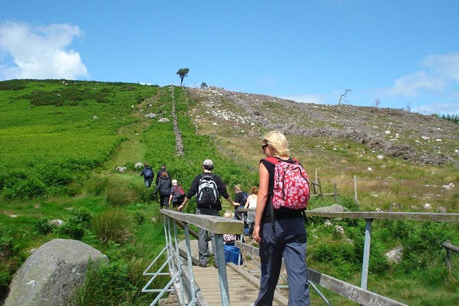 Dublin to Wicklow, Glendalough Small Group Tour with Guided Walk - Pace, van comfort, and the mixed-activity reality