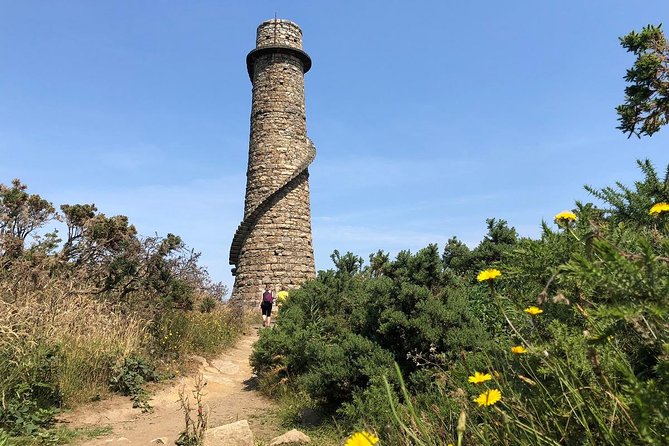 Dublin to Wicklow, Glendalough Small Group Tour with Guided Walk - Price and what you actually get for $90.74