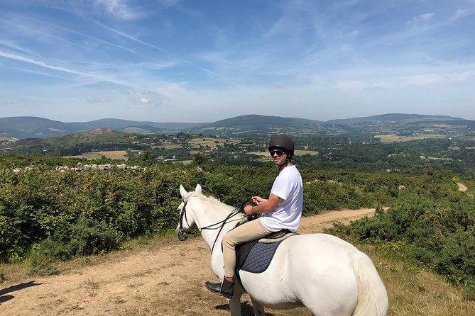 Dublin to Wicklow, Glendalough Small Group Tour with Horse Riding - The small-group effect: why max 8 matters