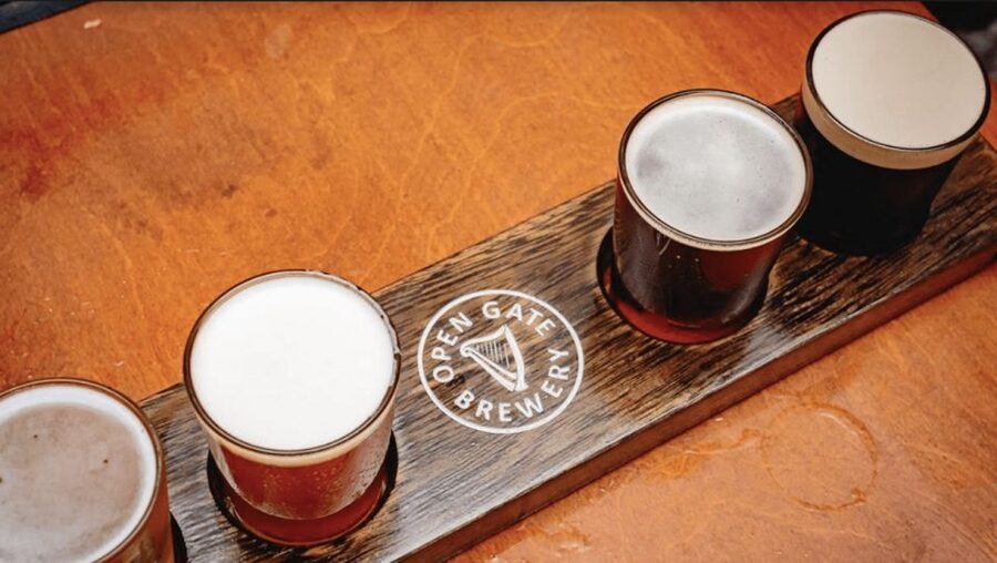 Dublin: Traditional Pubs Walking Tour with Local Guide - Stop-by-stop: what each of the four traditional pubs feels like